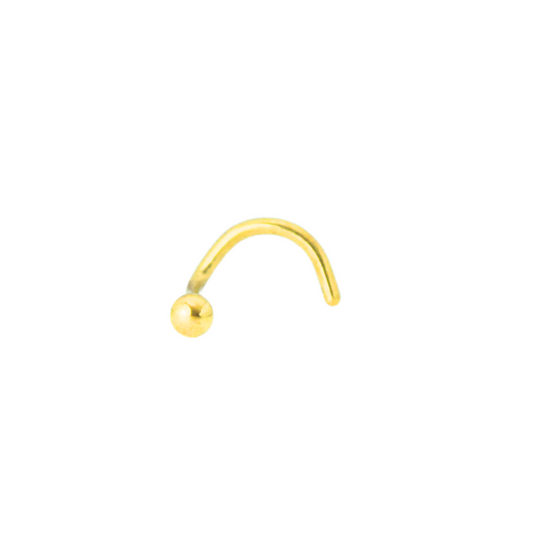 Tragus Dorado Bolita