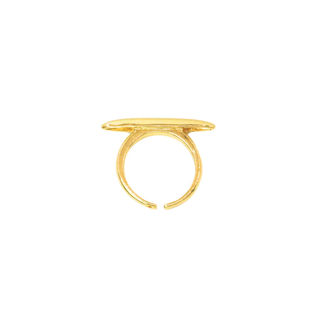 Anillo Palito