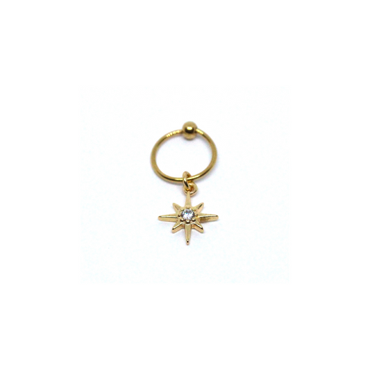 Arracada Estrella Del Viento Acero Dorado 8mm