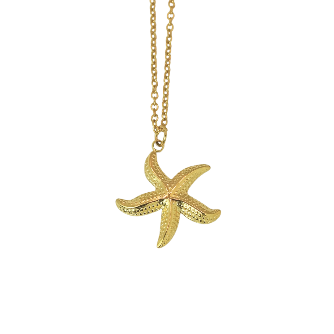Collar estrella de mar mini