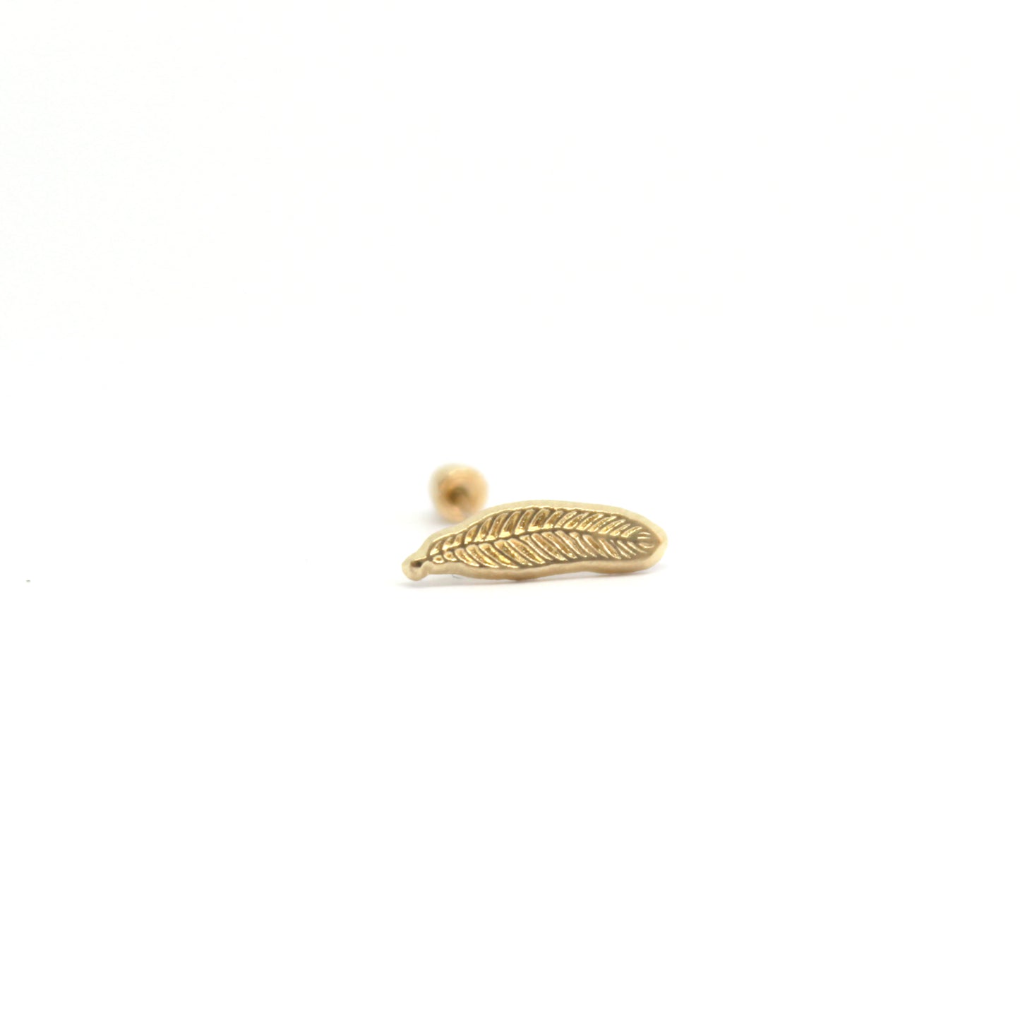 Pluma 10K