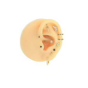 Black Stud Grande 10K