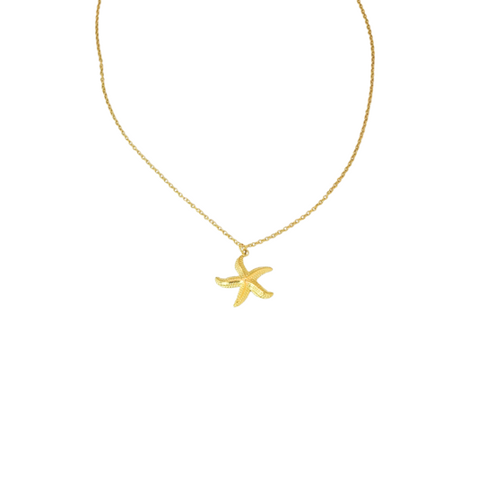 Collar estrella de mar mini
