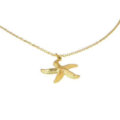 Collar estrella de mar mini